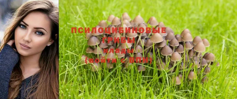 MEGA онион  Алзамай  Псилоцибиновые грибы Magic Shrooms 